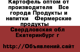 Картофель оптом от производителя - Все города Продукты и напитки » Фермерские продукты   . Свердловская обл.,Екатеринбург г.